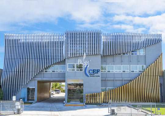 美国CEF生殖妇科与医疗中心插图 美国CEF生殖妇科与医疗中心插图