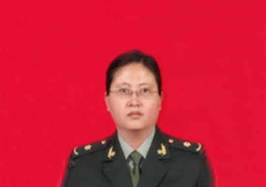 刘子霞插图