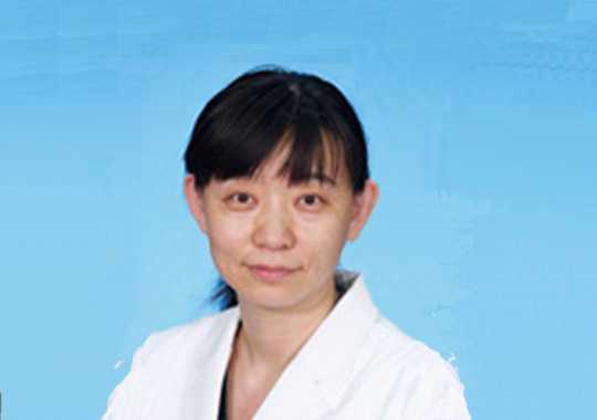 金鸿雁插图