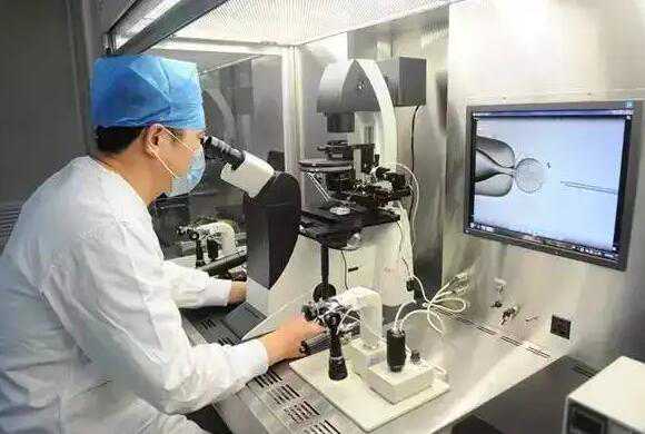 第三代人工授精性别选择价格多少钱？附费用明细？插图1