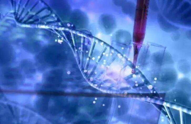 河北试管包男孩要多少钱？河北做试管婴儿生男孩费用插图