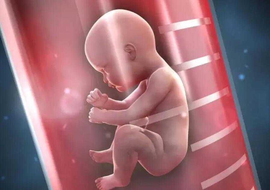 深圳第三代试管包生男孩多少费用？附详细费用列表插图1