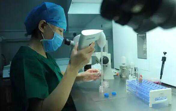 武汉试管包生男孩价格多少钱？武汉试管做个男孩费用贵吗？插图