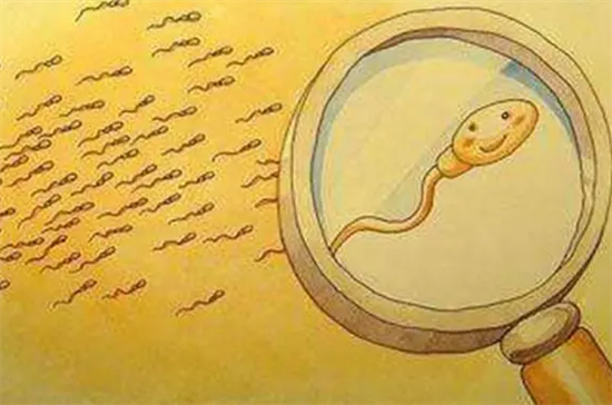 胚胎冷冻一年后可以移植不?胚胎冷冻一年后会怎么样插图 undefined