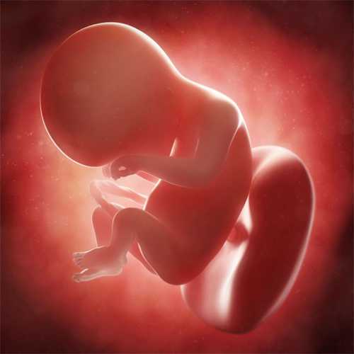 2025天津妇产医院供卵试管婴儿多少钱？一次供卵试管费用4-15万元插图1