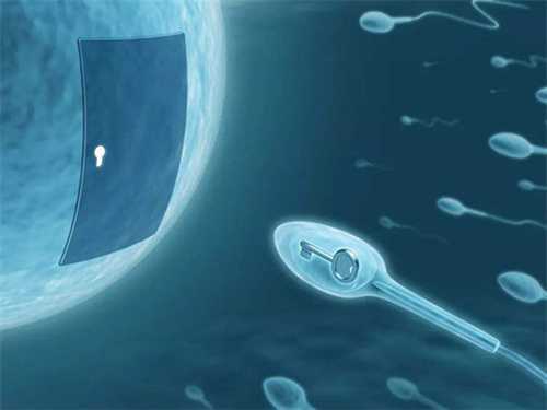精子成活率低能试管助孕吗?男性精子活力低如何进行改善插图1 undefined