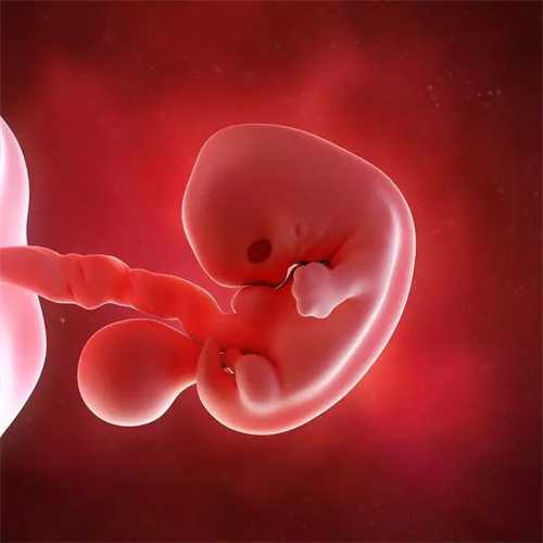孕早期生男孩的9个明显征兆！当你出现这些表现生男孩无疑了插图1