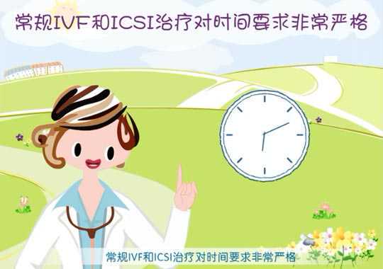 二代、三代试管婴儿全过程插图