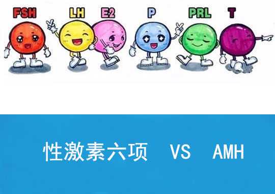 抗缪勒氏管激素(AMH)检测对比性激素六项检查优点插图 抗缪勒氏管激素(AMH)检测对比性激素六项检查优点插图