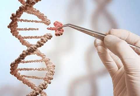 做试管婴儿前怎么判断成功率？试管助孕前如何判断成功率？插图