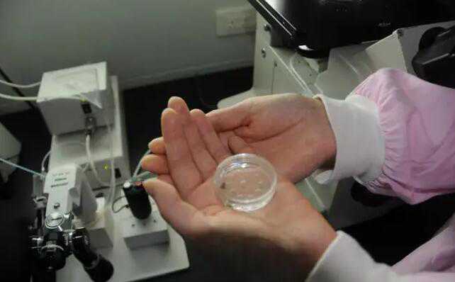 兰州试管婴儿做生男孩是哪个医院？兰州试管生男孩去哪做？插图