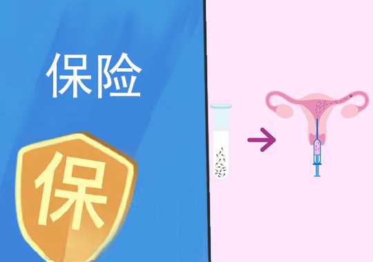 试管婴儿保险可不可靠?插图 试管婴儿保险可不可靠?插图