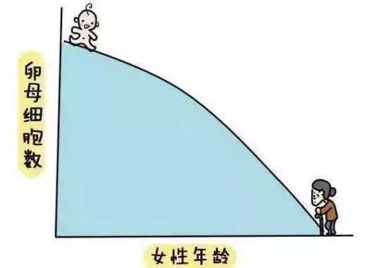 AMH值与年龄对照表及AMH值多少正常?插图 AMH值与年龄对照表及AMH值多少正常?插图