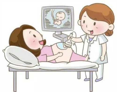 分享大排畸数据看生男女的诀窍!大排畸生男生女有没有区别插图1 undefined