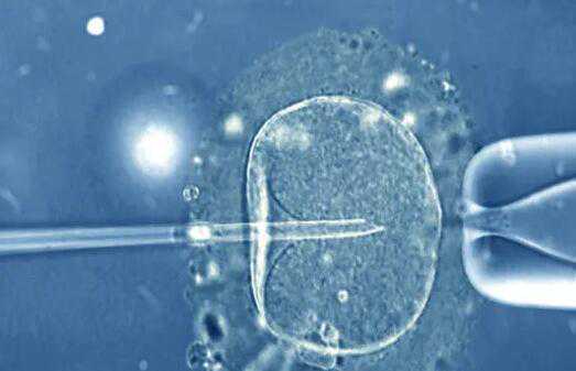 重庆三代试管包生男孩要多少钱？重庆试管包男孩费用插图2