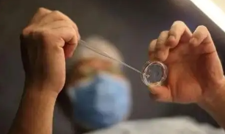 人工受精可以直接要男孩吗？附详细流程插图