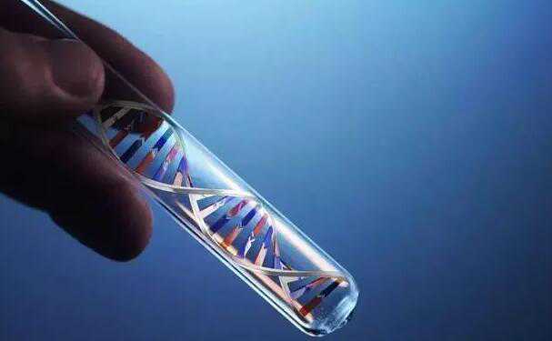 杭州三代试管包生男孩多少钱？附具体价格明细？插图