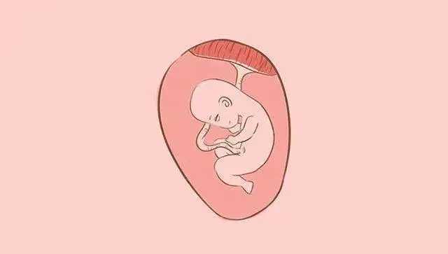 胎儿十男九绕是真的吗？十个男孩有九个脐带绕脖子吗？插图