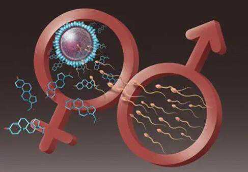 上海三代试管选男女一共要多少钱？附上海试管成功率？插图1