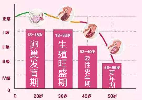 什么是卵巢储备功能减退(diminishedovarianreserve，DOR)插图