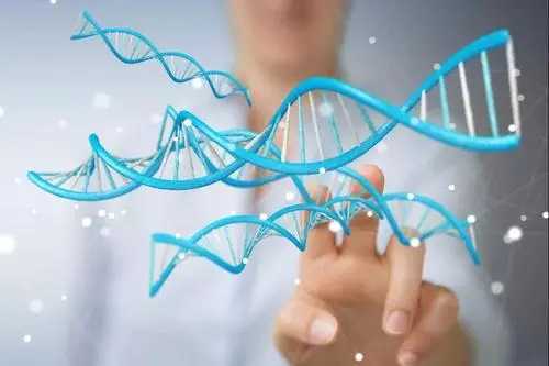 备孕有必要做基因检测吗？夫妻备孕基因检测多少钱？插图