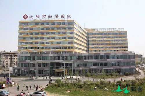 辽宁试管婴儿医院有哪些可以选择插图 辽宁试管婴儿医院有哪些可以选择插图