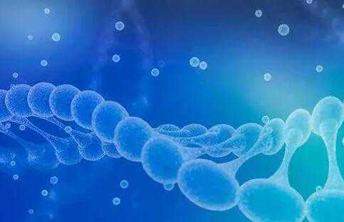 广州三代试管选性别费用多少钱？附详细流程介绍？插图