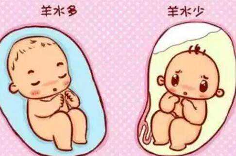 羊水深度看男孩女孩？生男女的判断方法插图1