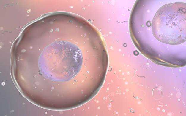2024新疆试管三代机构助孕包生男孩名单一览？包生男孩费用明细？插图1