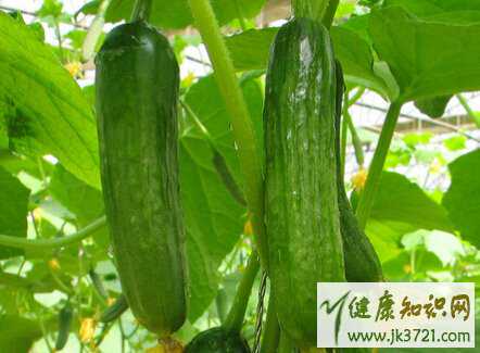 高龄备孕二胎应多吃哪些大宝的心理健康不容小视插图