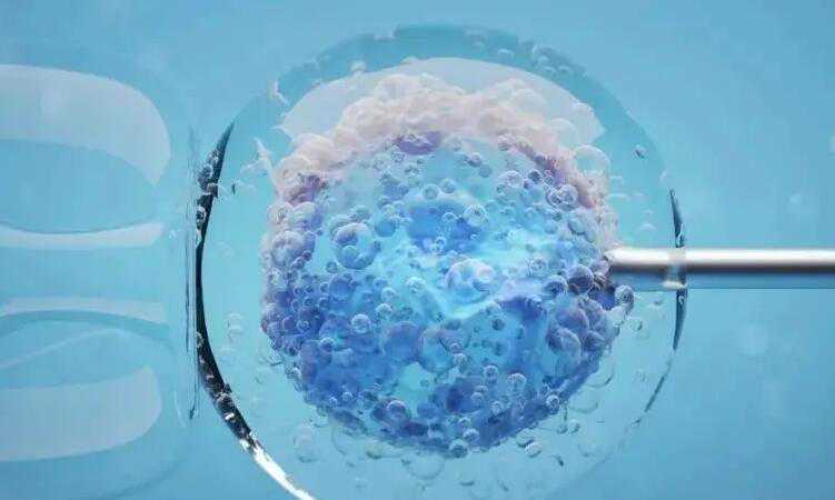 深圳三代试管包生男孩价格？深圳做试管包男孩费用插图
