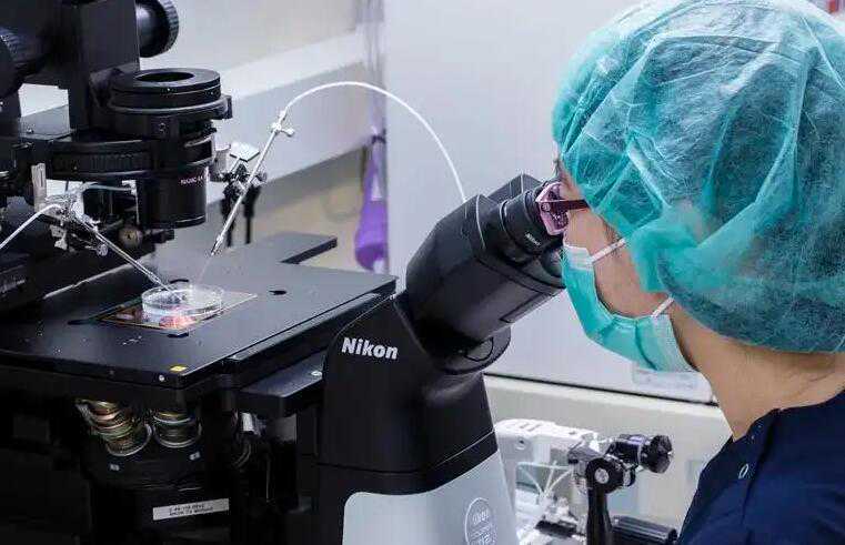济南妇幼保健院三代试管生男孩多少钱？附详细费用成功率？插图2