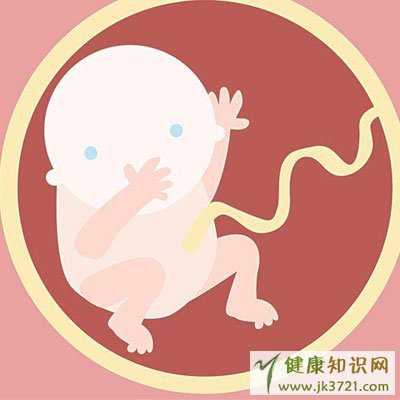 会损害胎儿智力的食物与推荐食谱插图 会损害胎儿智力的食物与推荐食谱插图