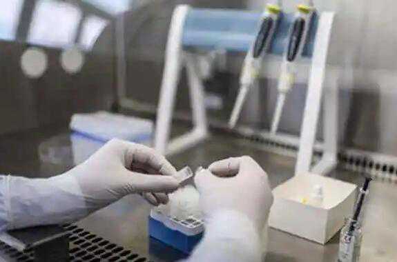 人工授精能怀男宝宝吗？人工授精做男孩成功率？插图1