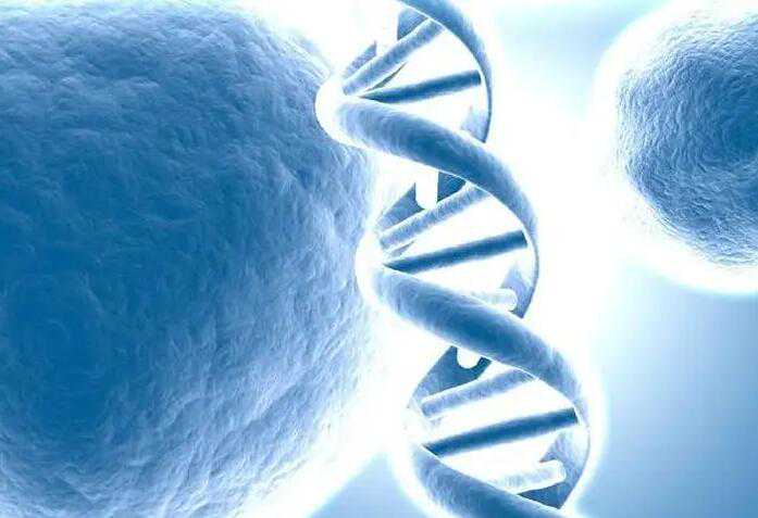 重庆三代试管包生男孩价格贵不贵？包生男孩花8万够吗？插图2