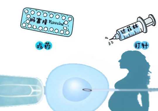 试管婴儿对女性的危害插图
