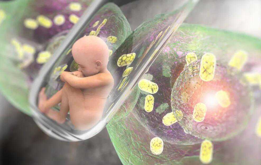 清宫图以着床时间算的吗？清宫图怀孕时间判定？插图2