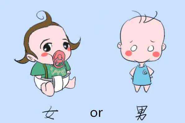 生男生女取决于男方还是女方 如何控制生男生女插图