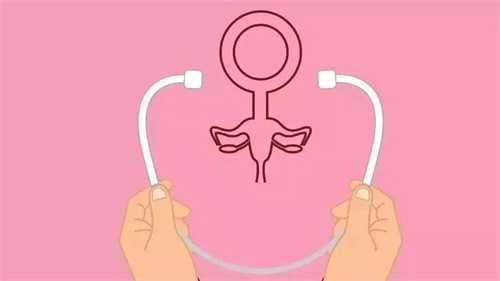 孕妇怀男孩女孩有什么区别?生男生女到底取决于谁?插图 undefined