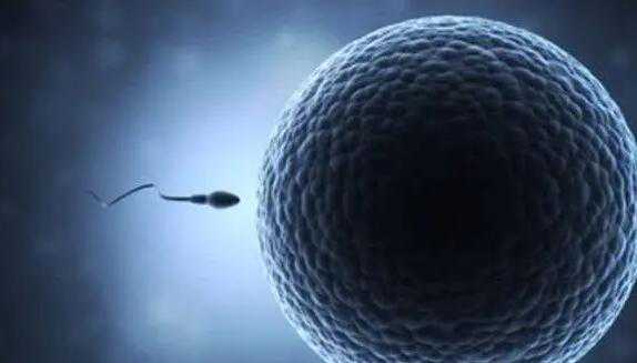重庆三代试管包生男孩试管医院排名？附相关医院信息？插图