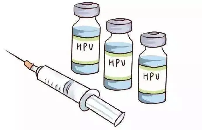 不建议接种二价hpv疫苗的原因!二、四、九价疫苗哪个更值得打插图 undefined