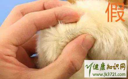 ugg雪地靴真假辨别方法ugg雪地靴价格多少钱插图8 ugg雪地靴真假辨别方法ugg雪地靴价格多少钱插图8