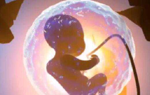 为什么试管都是男孩子多？附试管生男孩原理？插图