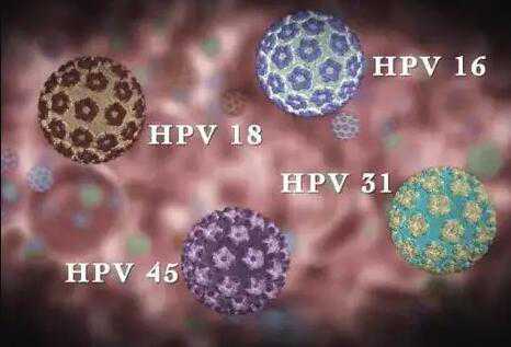湖南hpv四价三针一共多少钱？在湖南打hpv贵吗？插图