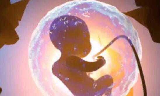 试管婴儿为什么生男孩多？附生男孩详细流程？插图1
