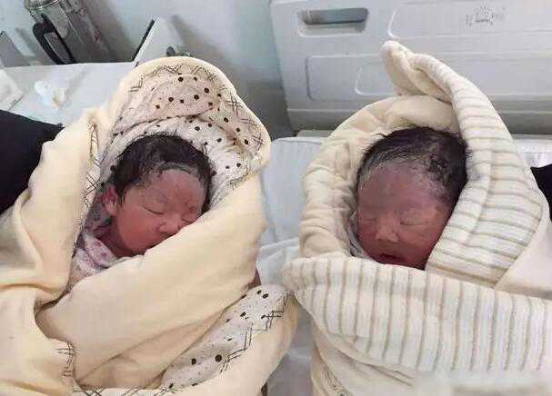 试管双胎龙凤胎秘密是什么？为什么试管双胎会生龙凤？插图2