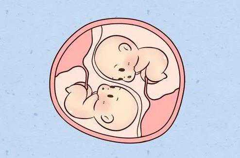 2024生男生女计算公式？2024年生男生女最新计算公式？插图