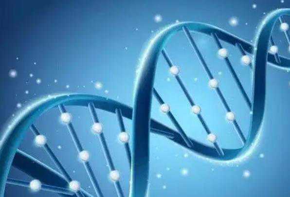 南宁三代供卵试管婴儿医院排名?附试管助孕成功率费用?插图1 南宁三代供卵试管婴儿医院排名?附试管助孕成功率费用?插图1