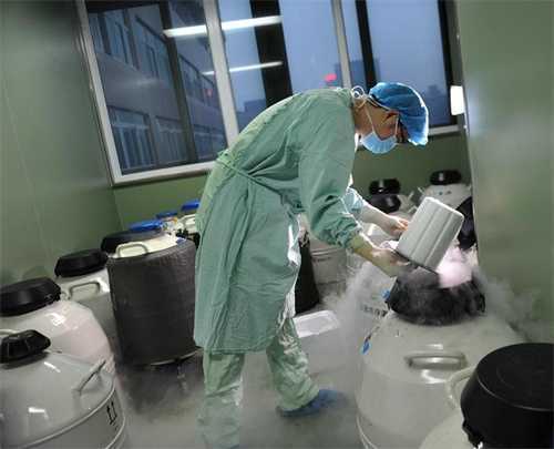试管微刺激方案卵泡不长的措施！汇总微刺激方案卵泡不长的处理方法插图1
