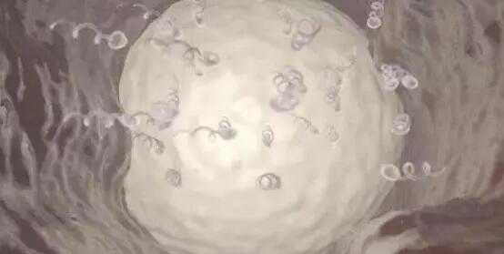 厦门试管医院三代生男女多少钱？附费用明细？插图